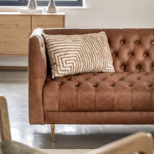 Benefits of Choosing a Leather Sofa