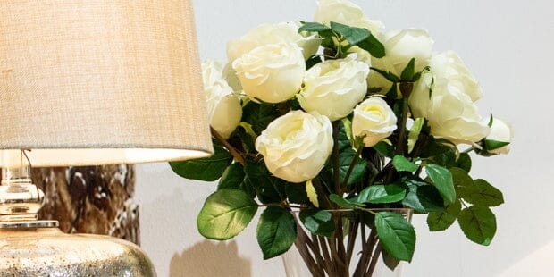 Mother's Day Gift Ideas