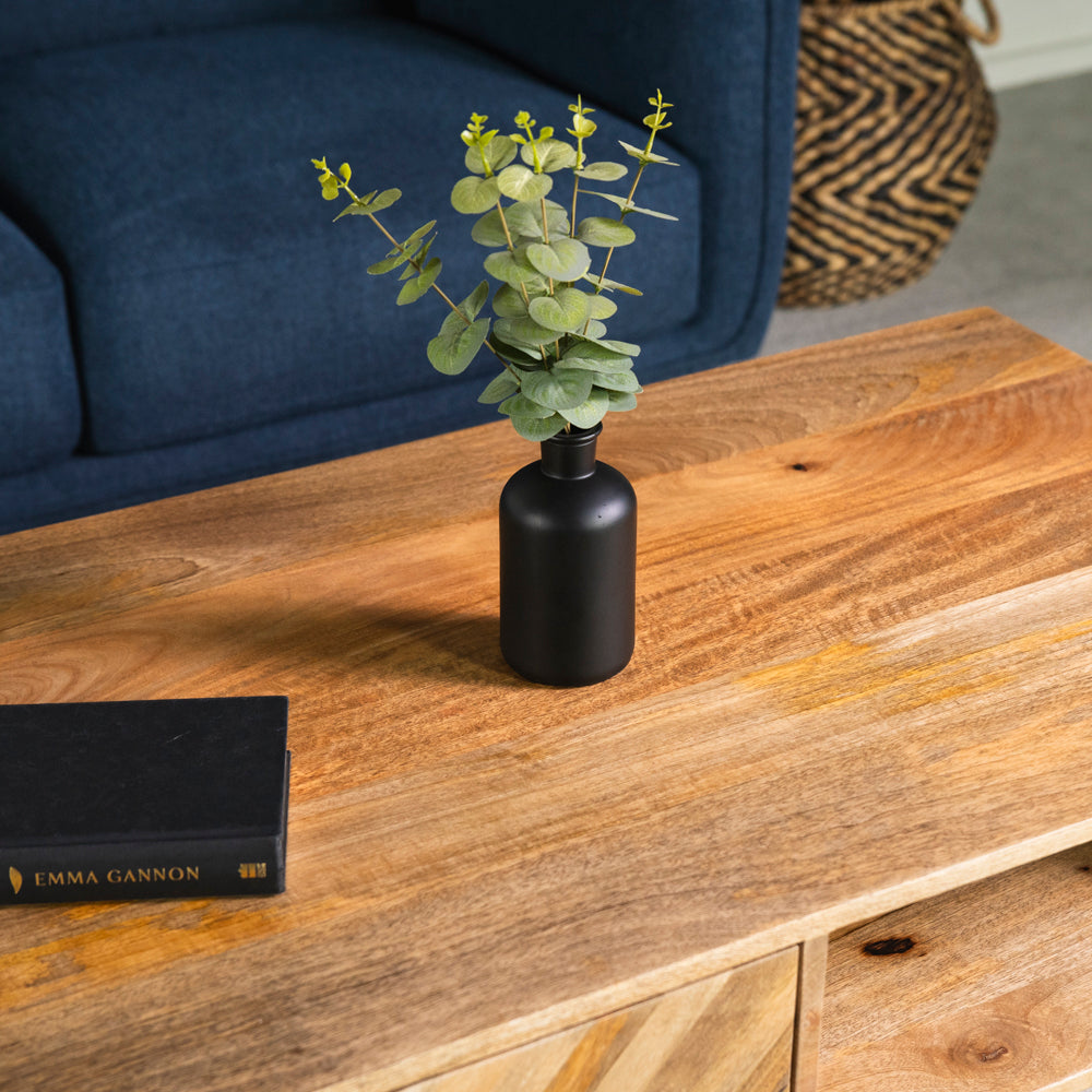 Nautilus Coffee Table