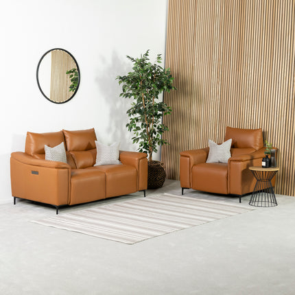 Dohar Leather Power Recliner Chair