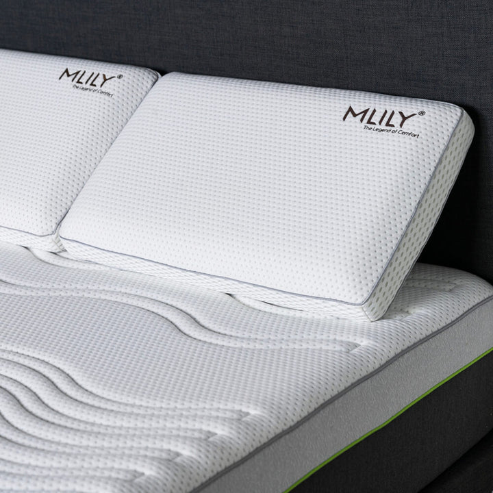 MLILY Premier 2000 Ortho Mattress FW Homestores