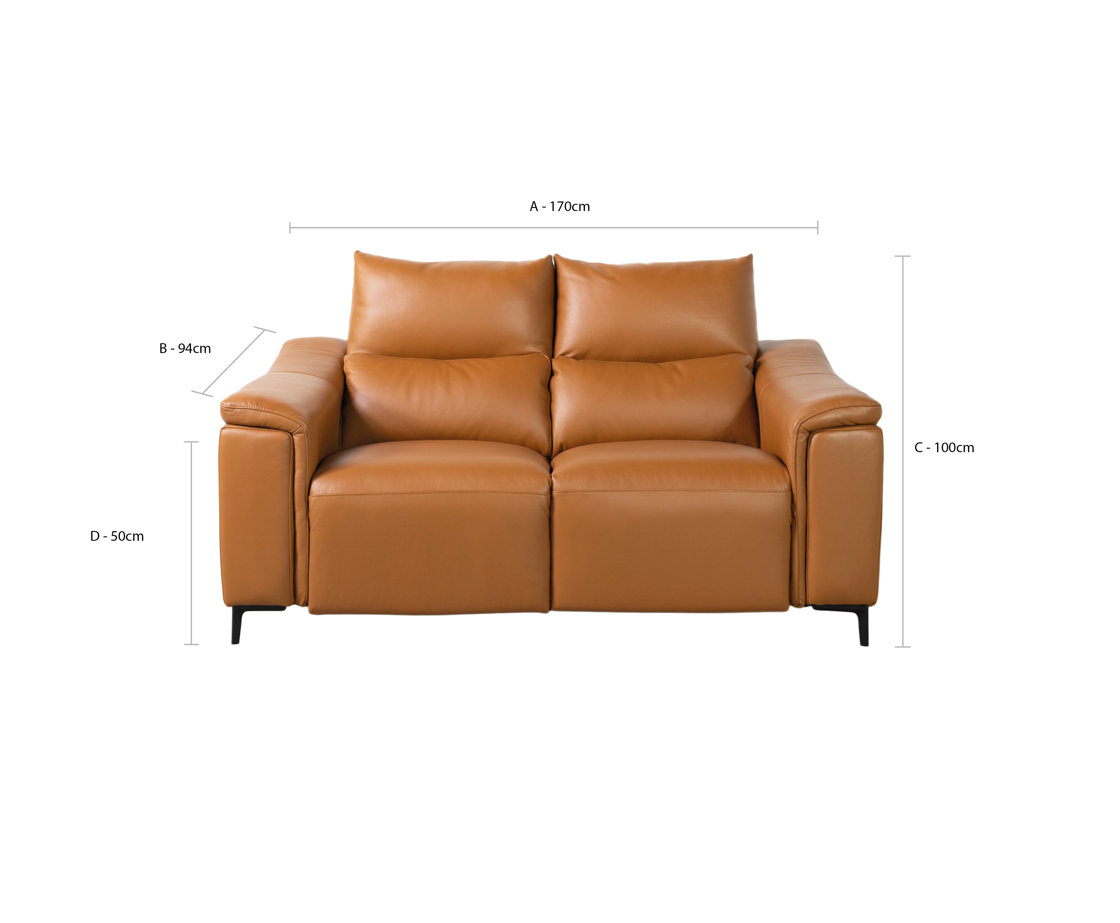 Dohar 2 Seater Leather Power Recliner Sofa