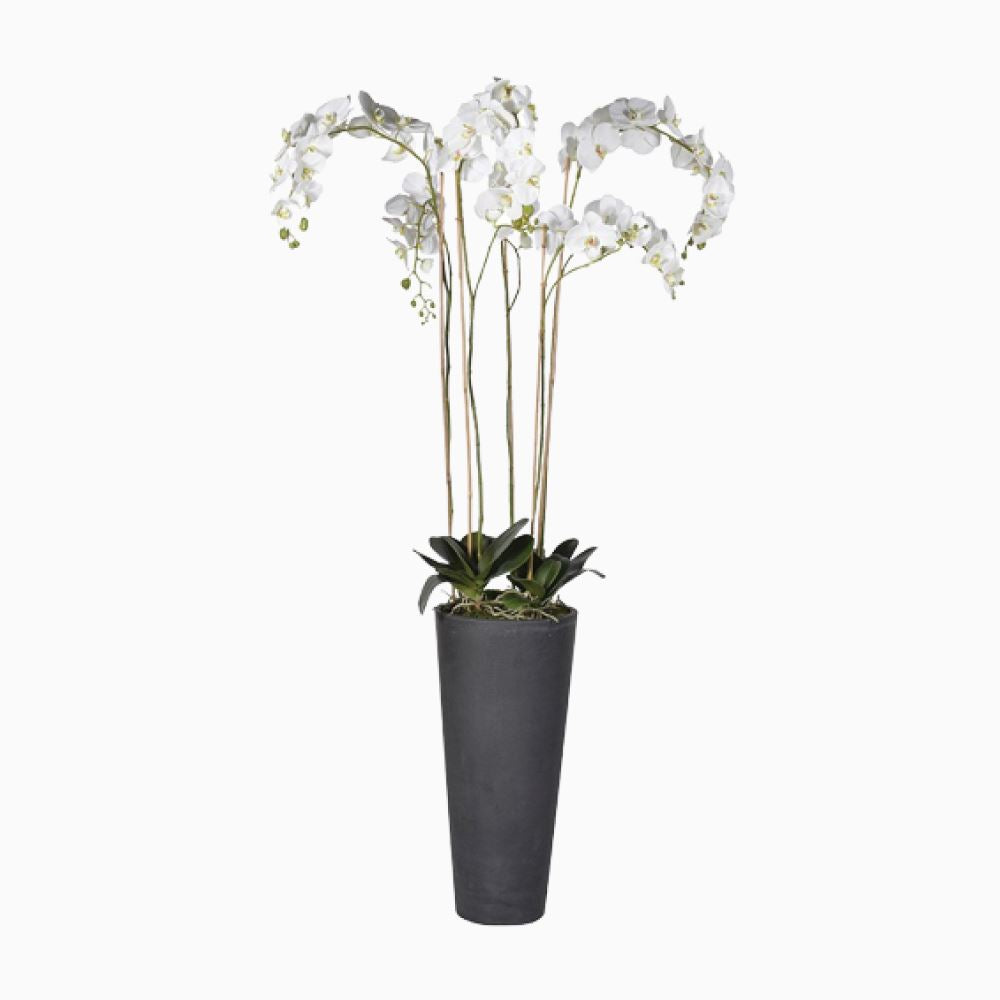 White Orchid Tall Homeware Green 