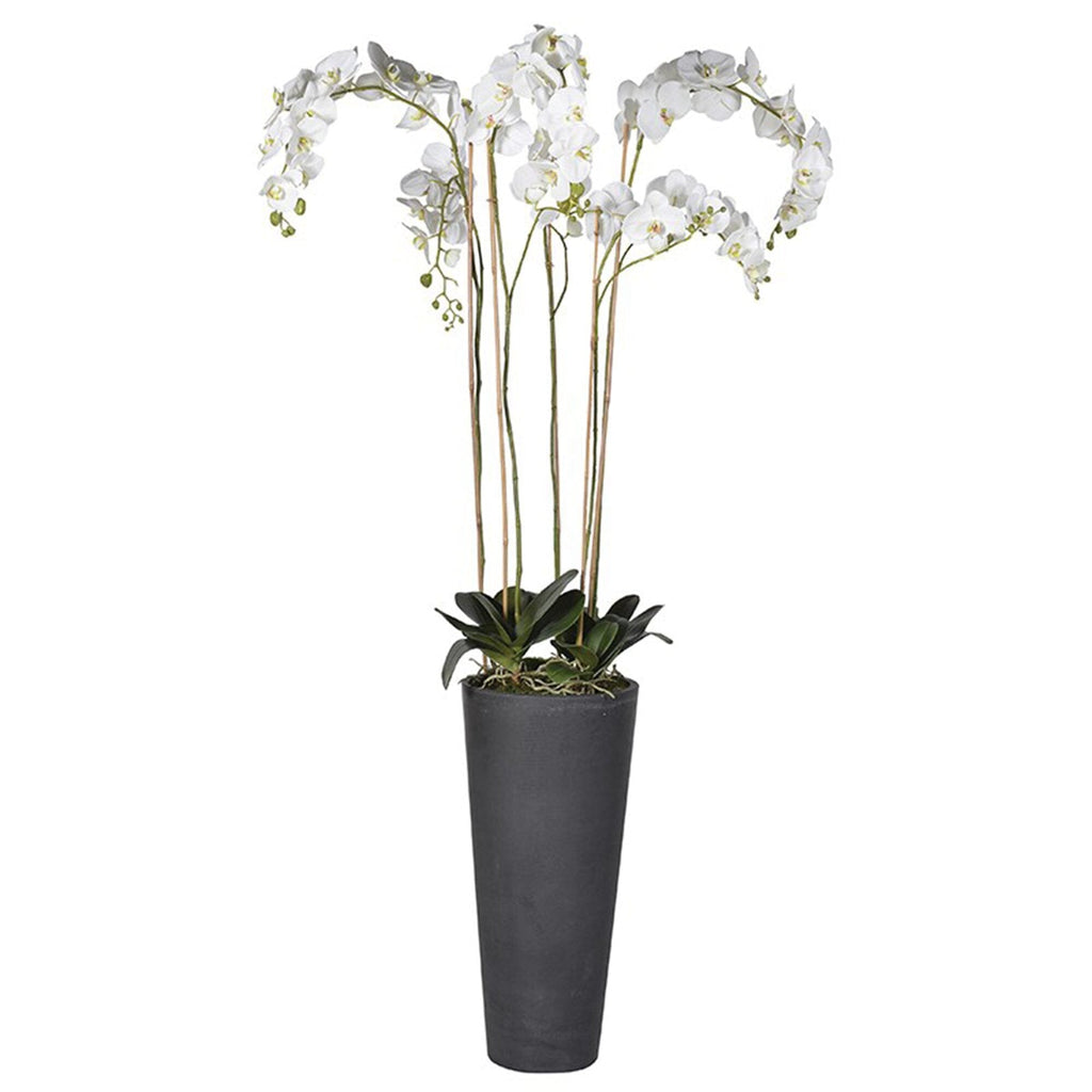 White Orchid Tall Homeware Green 